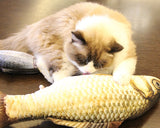 Realistic Catnip Fish Toy for Cats