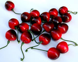 Artificial Cherry 20 Pieces Fake Fruit Model