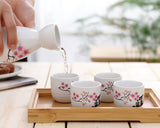 Ceramic Japanese Sake Set