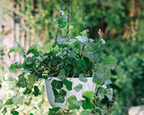 Plant Hanger Chain 4 Pieces Hanging Basket Chains