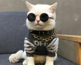 Retro Round Sunglasses with Golden Chain for Cats and Small Dogs