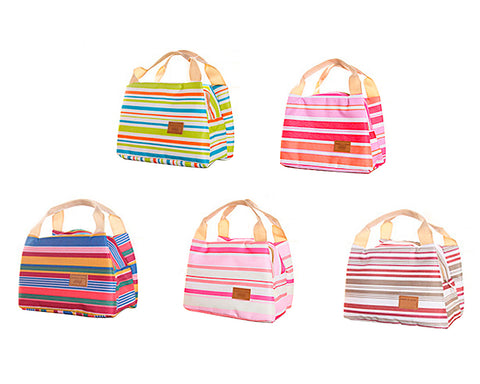 Trendy Insulated Thermal Picnic Lunch Bag with Zipper