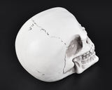 Halloween Decoration Terror Resin Skull Ornament w/ LED Light - Smooth