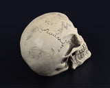 Halloween Decoration Terror Resin Skull Ornament w/ LED Light - Tattoo