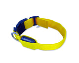 Dazzle Series Pet Dog Collar with LED Light