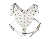 Punk Series Spiked Pet Dog Harness