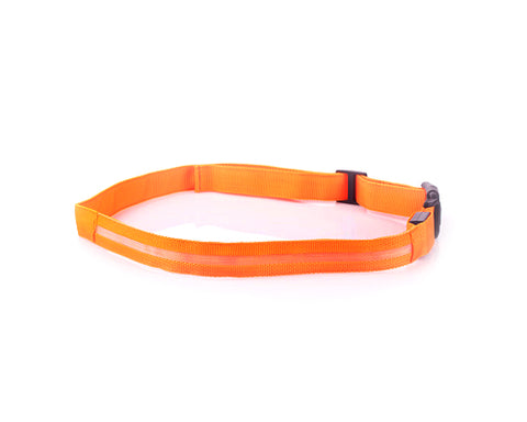 LED Running Waist Belt - Orange