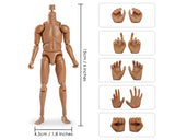 1/12 Scale Male Body Narrow Shoulder Standard 6 Inch Action Figure with 10 Interchangeable Hands