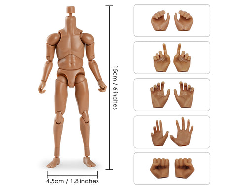 1/12 Scale Male Body Narrow Shoulder Standard 6 Inch Action Figure with 10 Interchangeable Hands