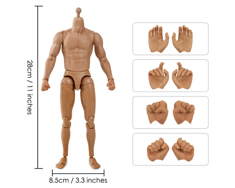 1/6 Scale Male Body Narrow Shoulder Standard 12 Inch Action Figure with 8 Interchangeable Hands